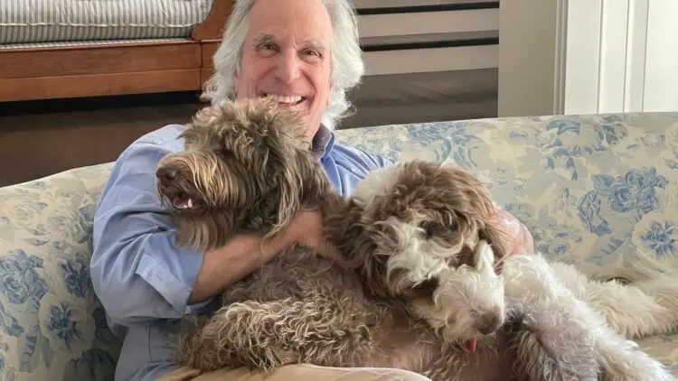 twitter | @hwinkler4real
