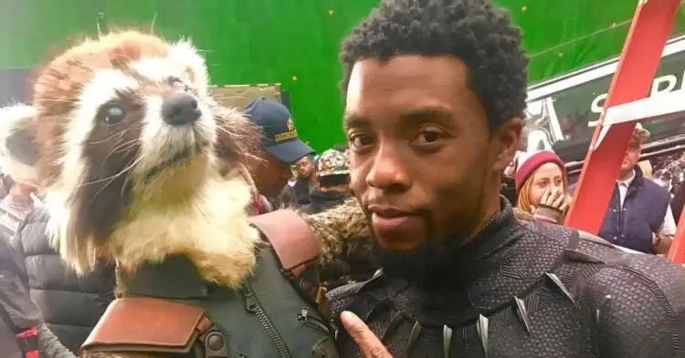 [Instagram | @https://www.instagram.com/p/BkoDOpGHhnV/)chadwickboseman](