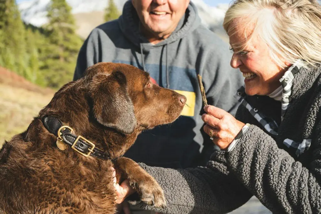 An older woman gives a brown dog a treat.