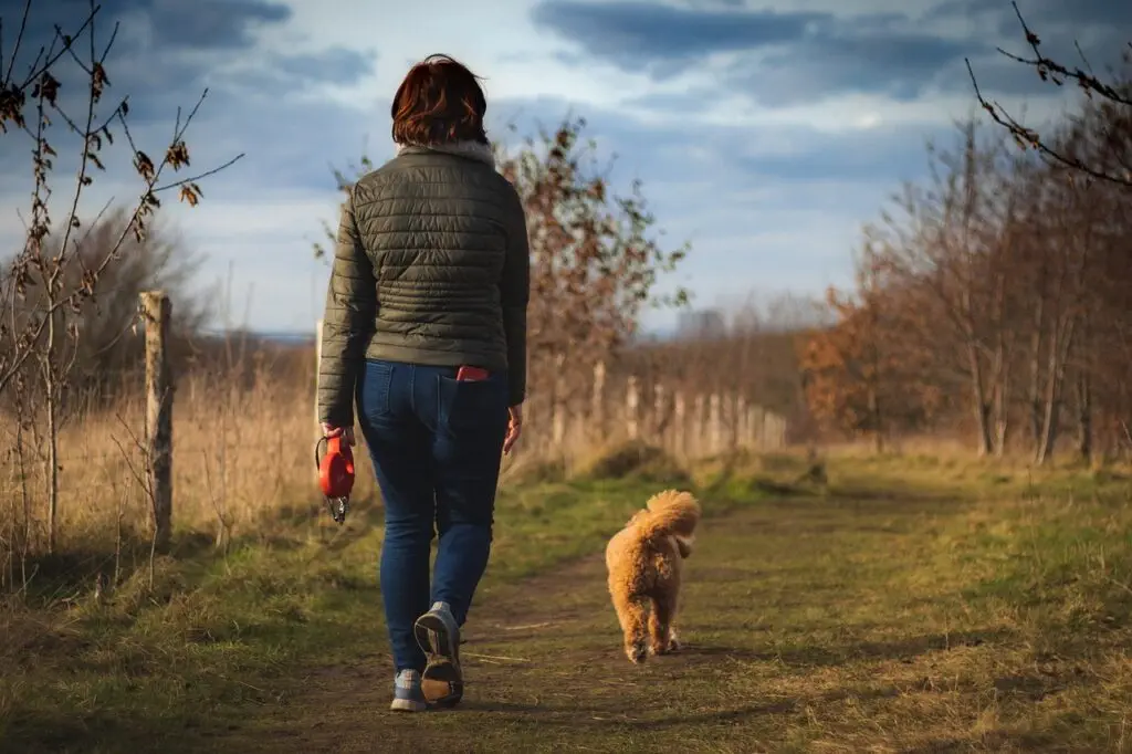 A woman facing away from the camera walks a small dog in the countryside