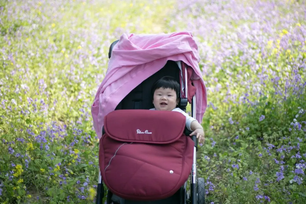 a small child in a stroller in a field of flowers