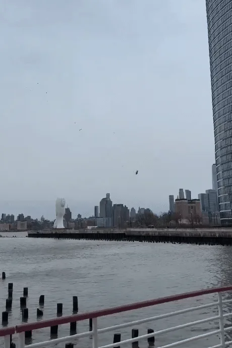 Helicopter falling into the Hudson river
