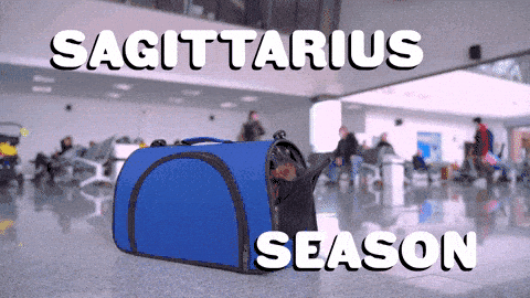 Image credit: Giphy | Sealed With A GIF