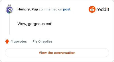 Image credit: Hungry_Pup | Hungry_Pup