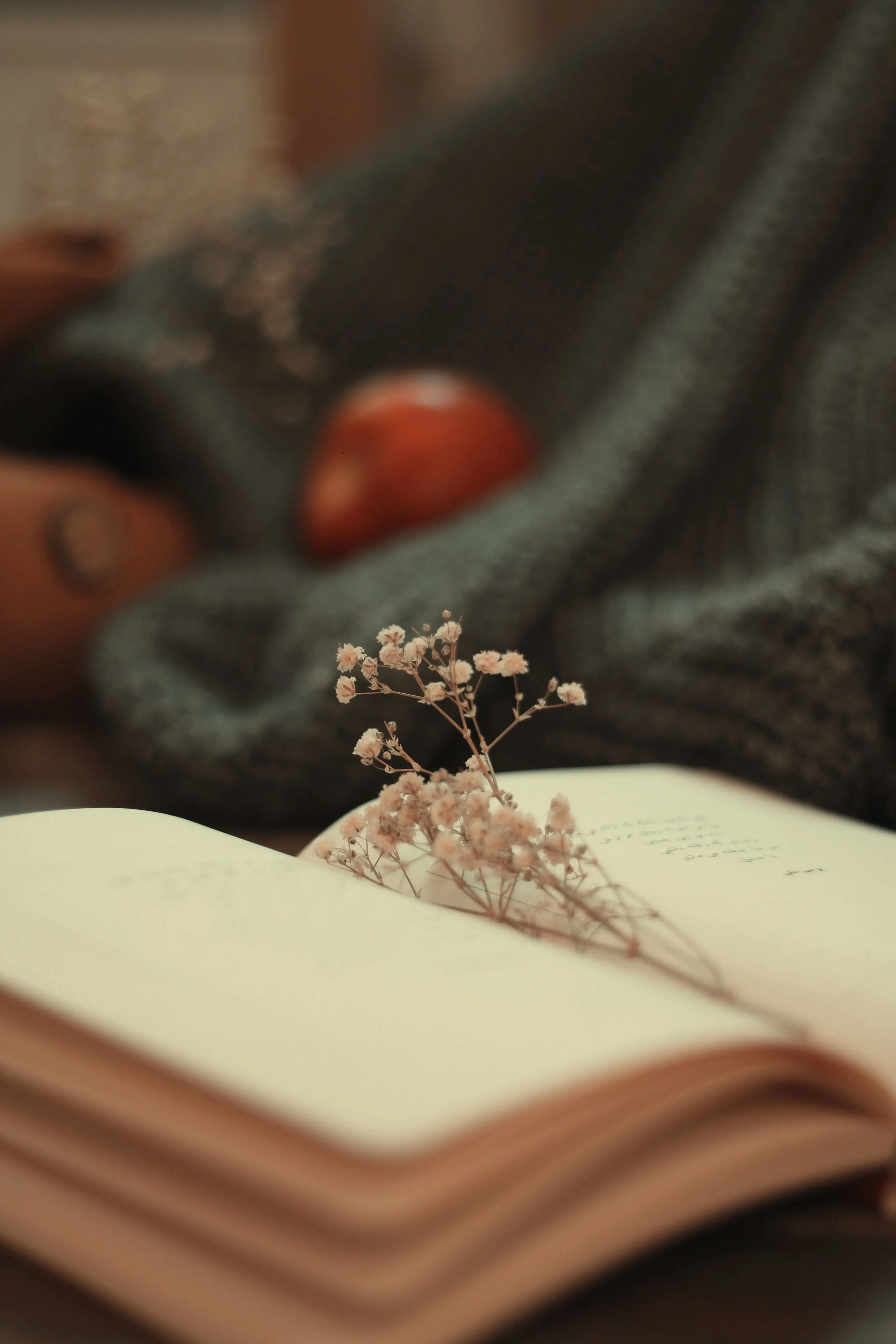 Image credit: Unsplash | negin bahramii