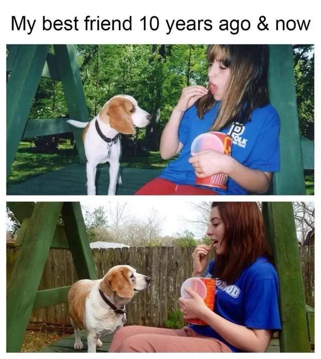 Image credit: Reddit | tsuizhen