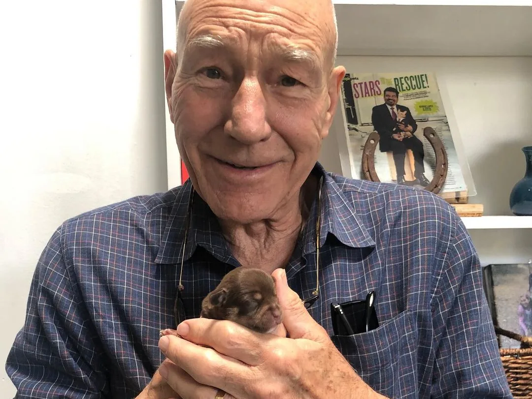 Image credit: Instagram | @sirpatstew