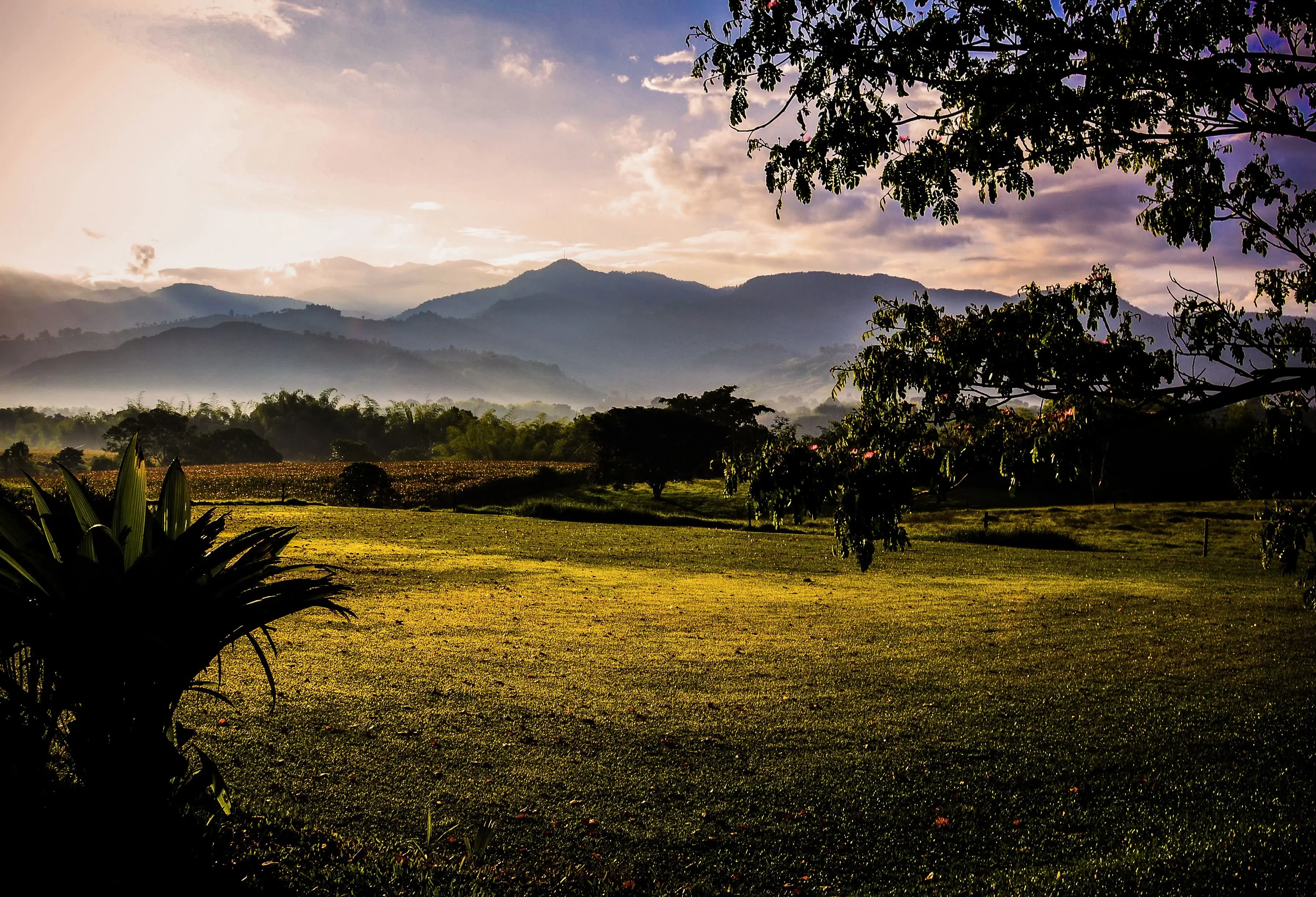 Image credit: Unsplash | Jeremy Stewardson