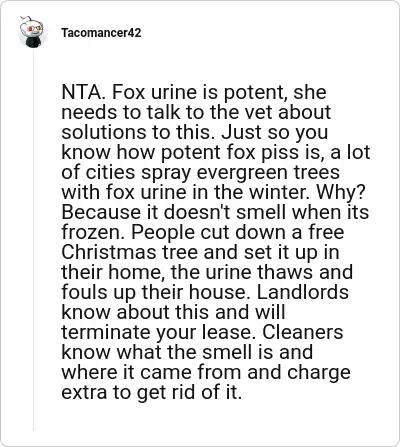 Image credit: Tacomancer42 | Tacomancer42