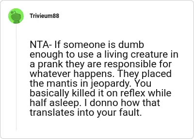 Image credit: Trivieum88 | Trivieum88