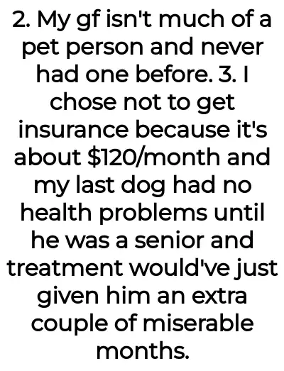 Image credit: gooddogbadbf | gooddogbadbf