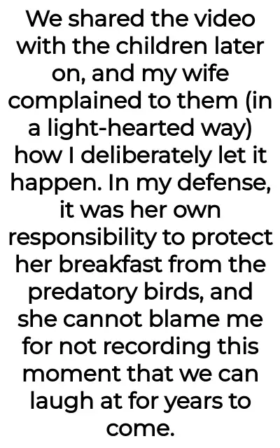 Image credit: bird_and_toast | bird_and_toast