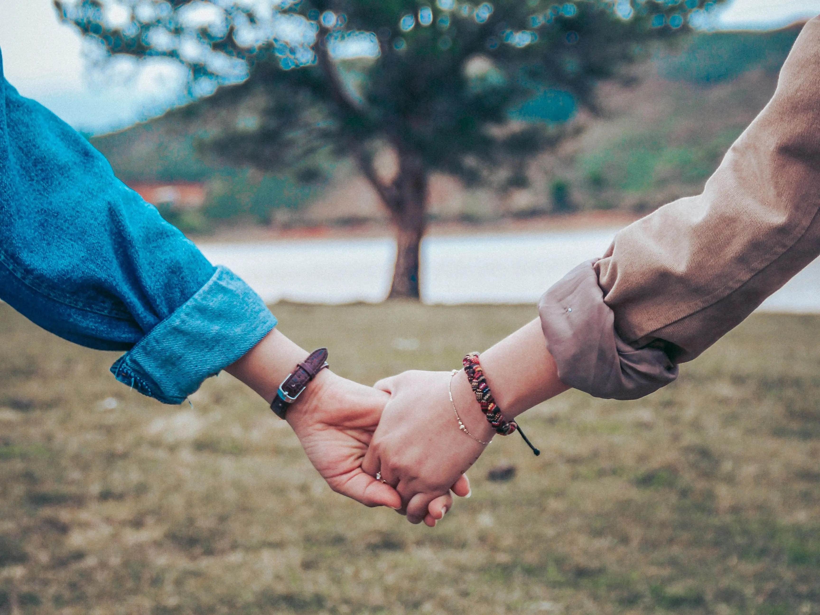 Image credit: Unsplash | Dương Hữu