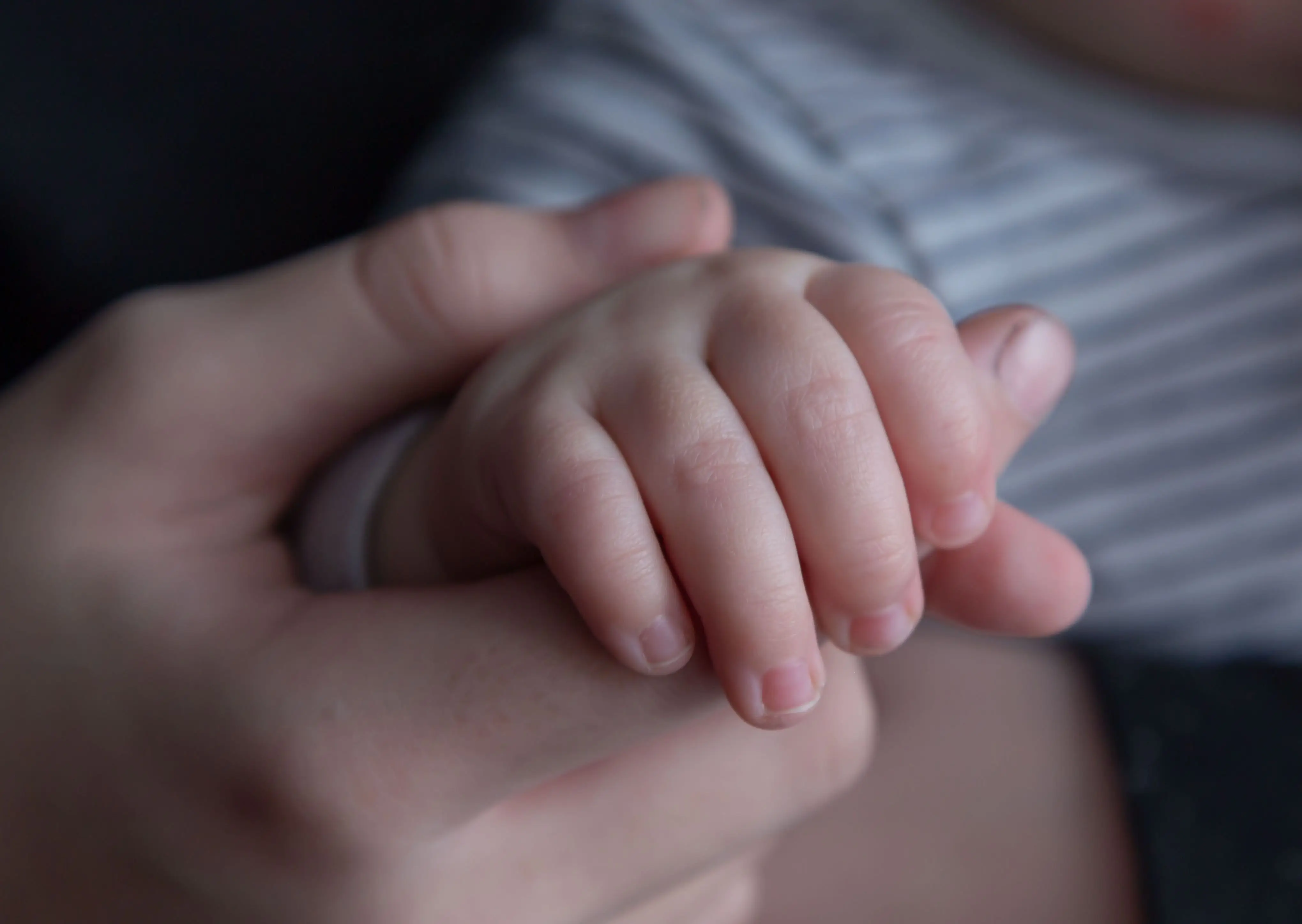 Image credit: Unsplash | Diana Polekhina
