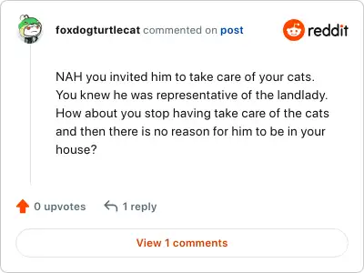 Image credit: foxdogturtlecat | foxdogturtlecat