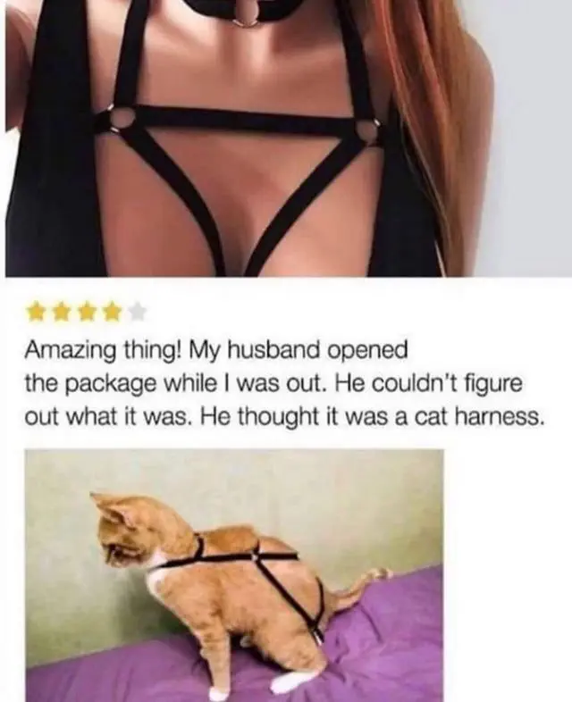 Image credit: reddit | AmbitiousGoat9319