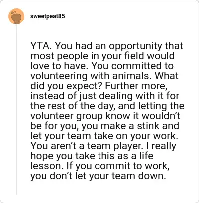 Image credit: sweetpeat85 | sweetpeat85