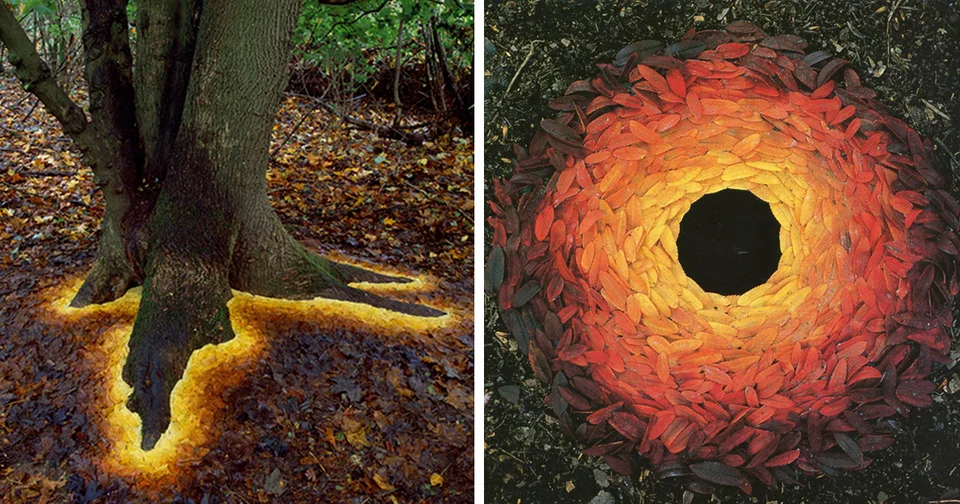 Image credit: Reddit | leadpoisoning_