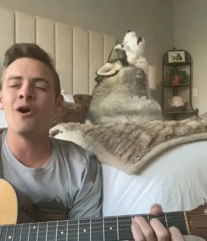 Image credit: Instagram | @kovu.sings