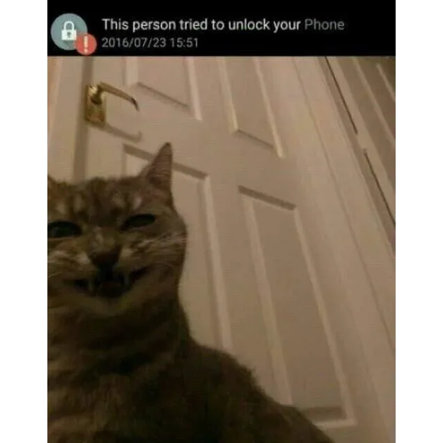Image credit: Reddit | taylorayo