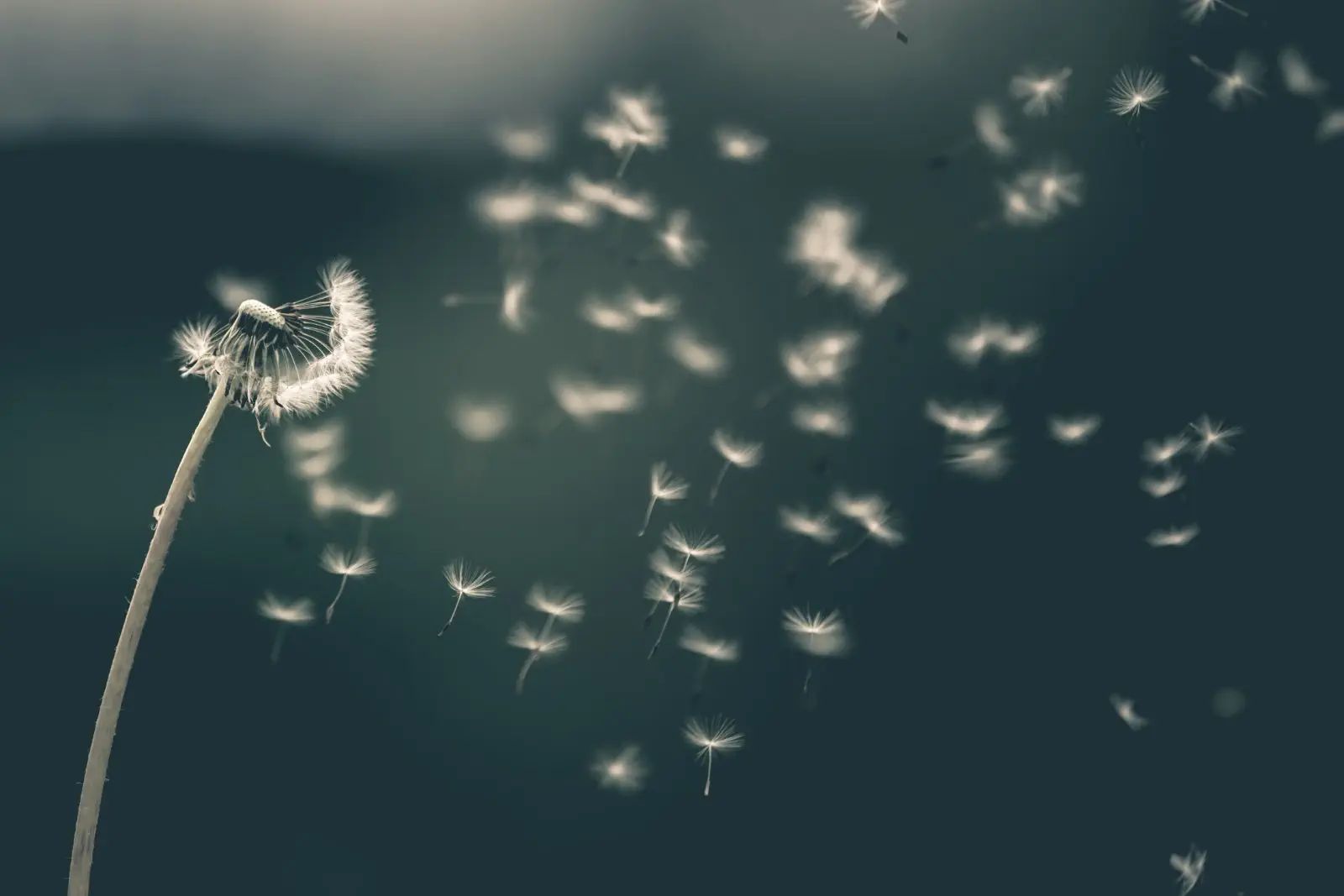 Image credit: Unsplash | Saad Chaudhry