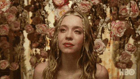 Image credit: Giphy | euphoria