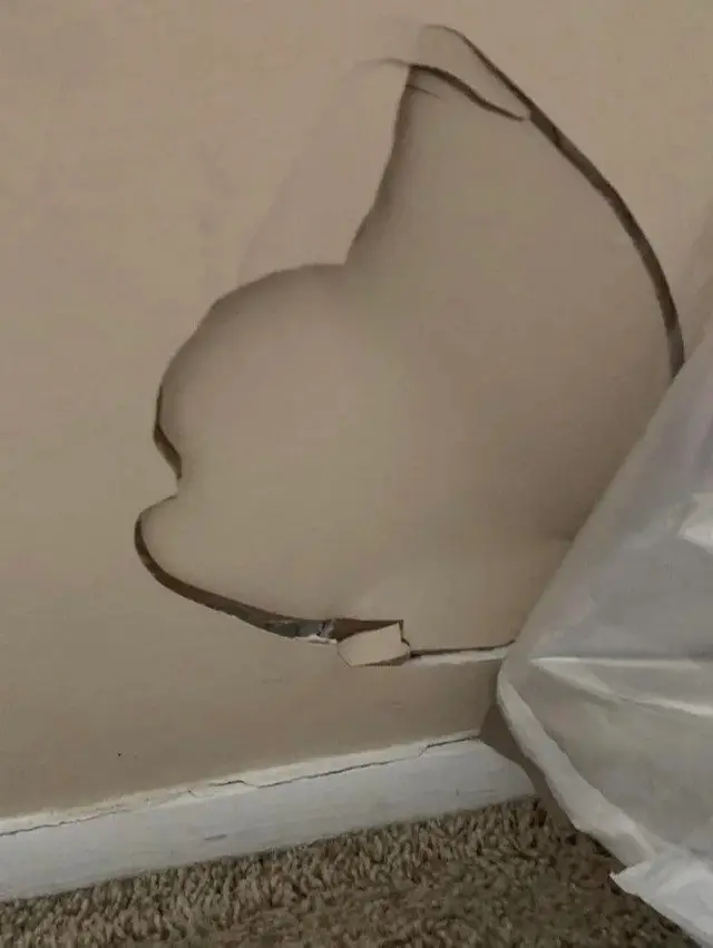 Image credit: reddit | youworry