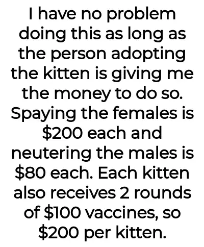 Image credit: catladyaita | catladyaita