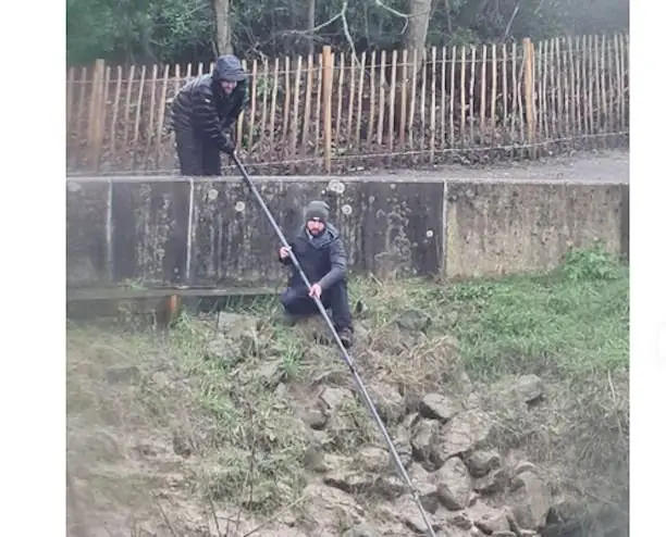 Image credit: Reddit | u/HeckleBerryPie