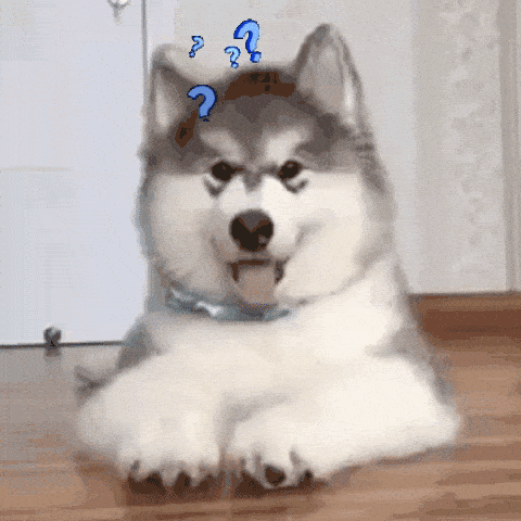 Image credit: Giphy