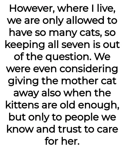 Image credit: catladyaita | catladyaita