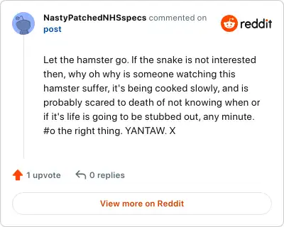 Image credit: NastyPatchedNHSspecs | NastyPatchedNHSspecs