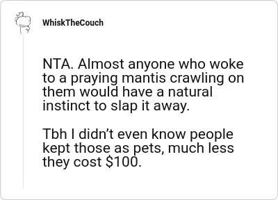 Image credit: WhiskTheCouch | WhiskTheCouch