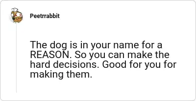 Image credit: Peetrrabbit | Peetrrabbit