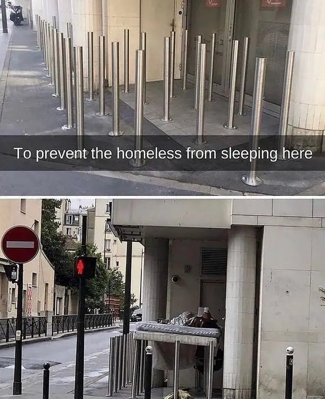 Image credit: Reddit | WholesomeHomie