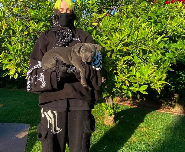 Image credit: Instagram | @billieeilish