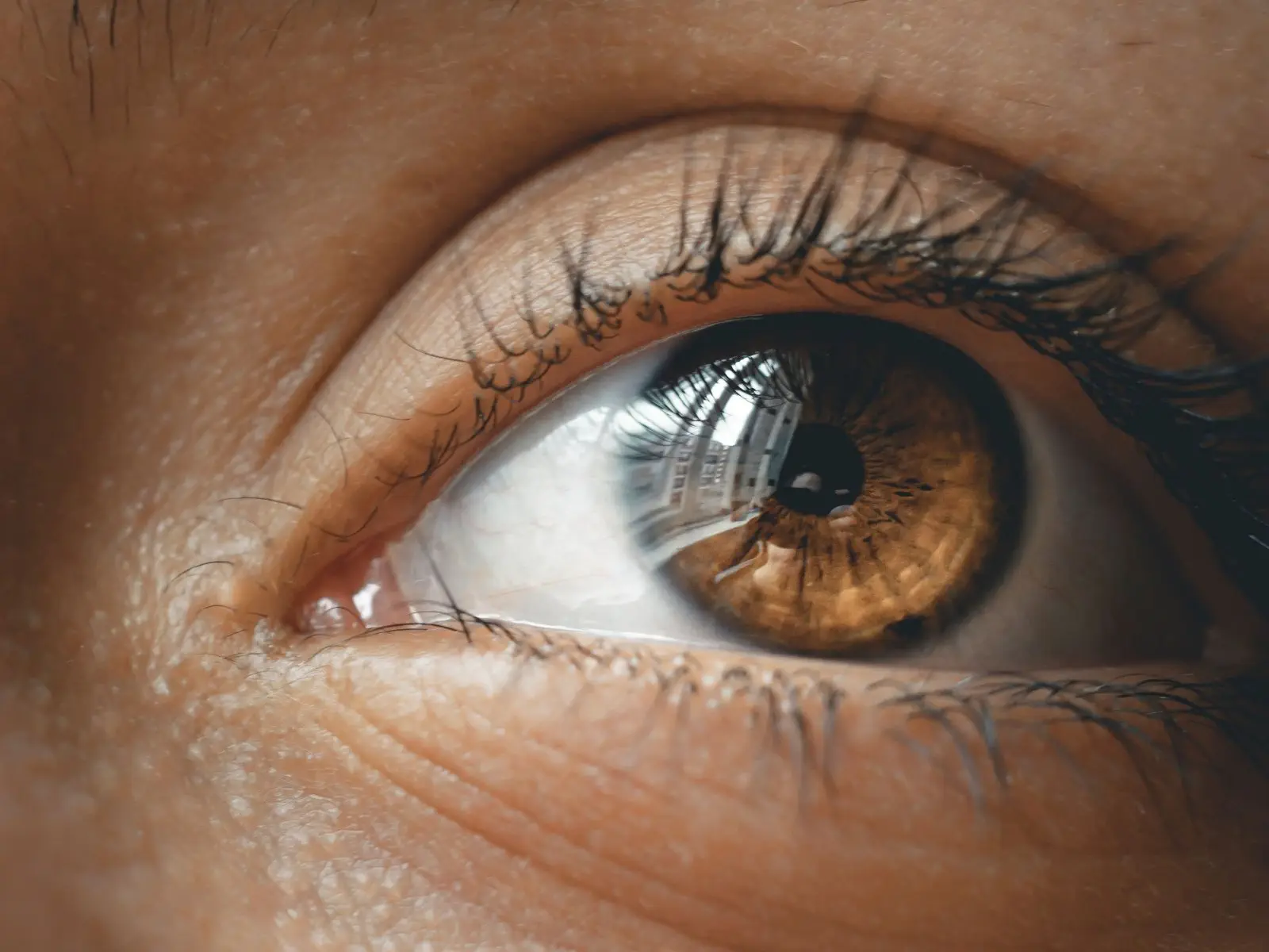 Image credit: Unsplash | Alexandre Debiève