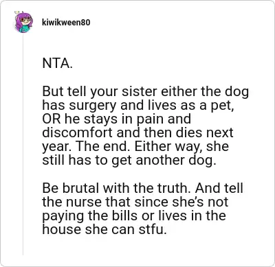 Image credit: kiwikween80 | kiwikween80