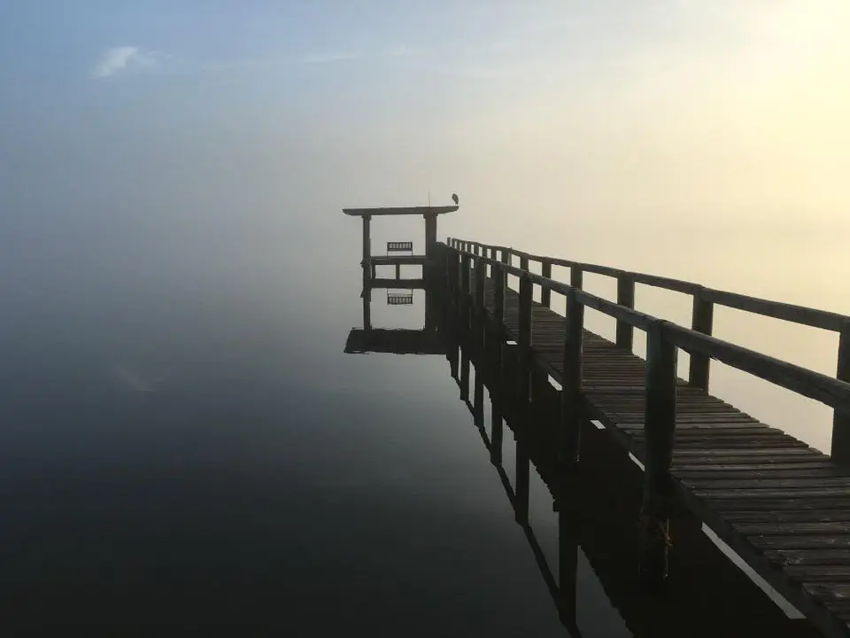 Image credit: Reddit | Kubikake