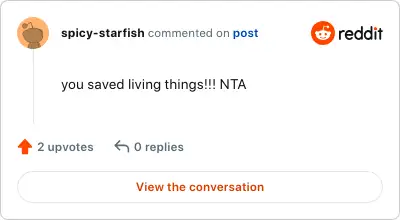 Image credit: spicy-starfish | spicy-starfish