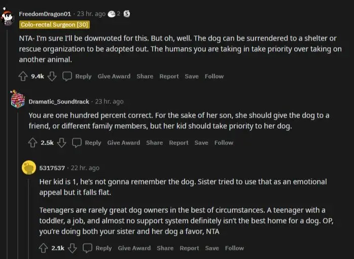 Image credit: reddit | FreedomDragon01