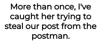 Image credit: trafedupneighbour | trafedupneighbour
