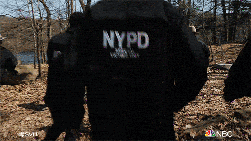 Image credit: Giphy | Law & Order