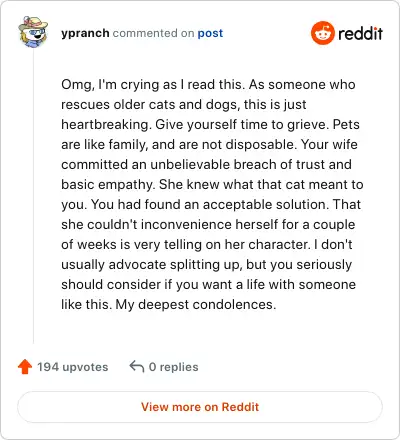 Image credit: ypranch | ypranch
