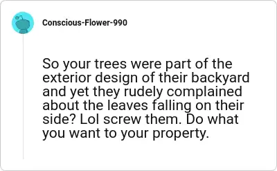 Image credit: Conscious-Flower-990 | Conscious-Flower-990