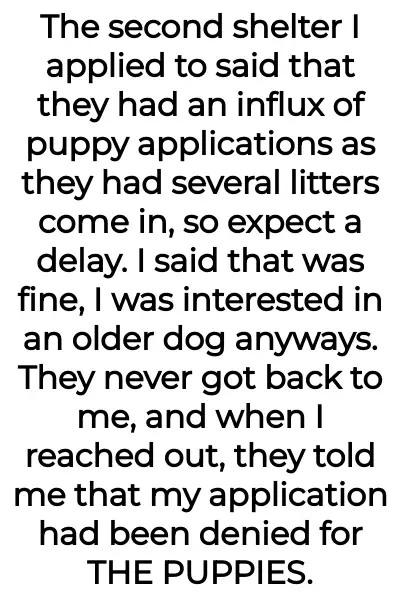 Image credit: throwawaychooseapup | throwawaychooseapup