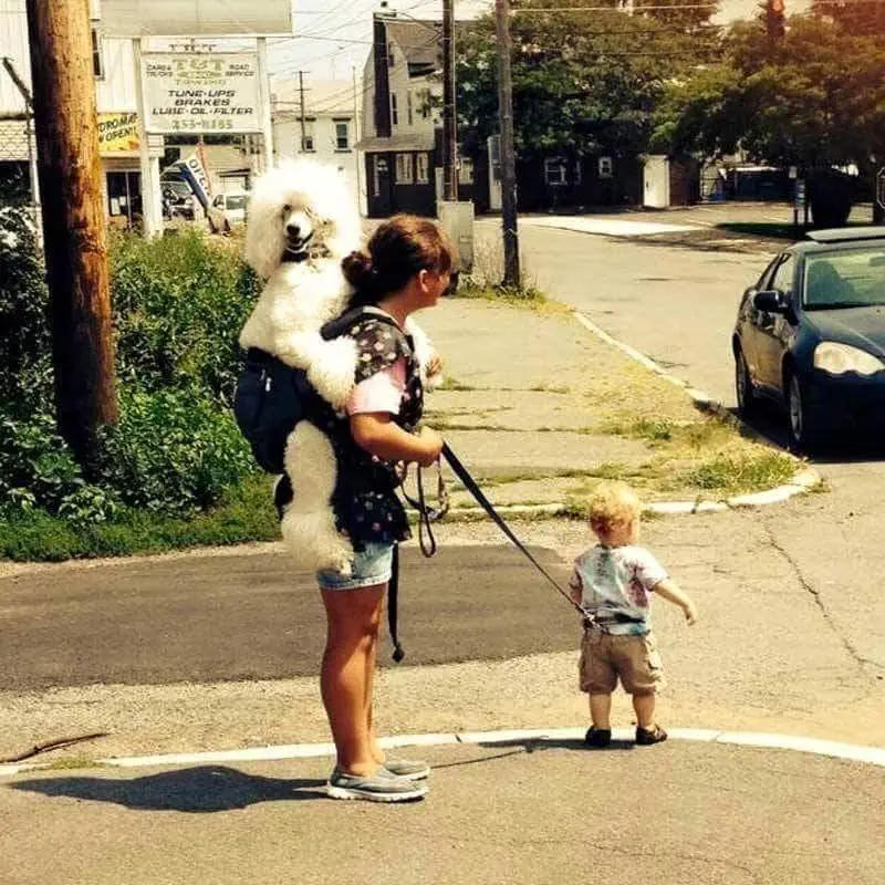 Image credit: Reddit | 25_M_CA
