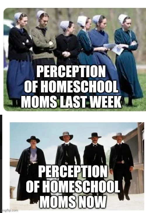 Image credit: Facebook l Hip Homeschool Moms
