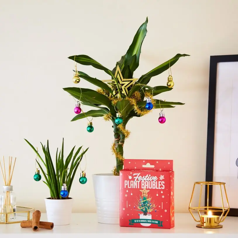 Image credit: Firebox