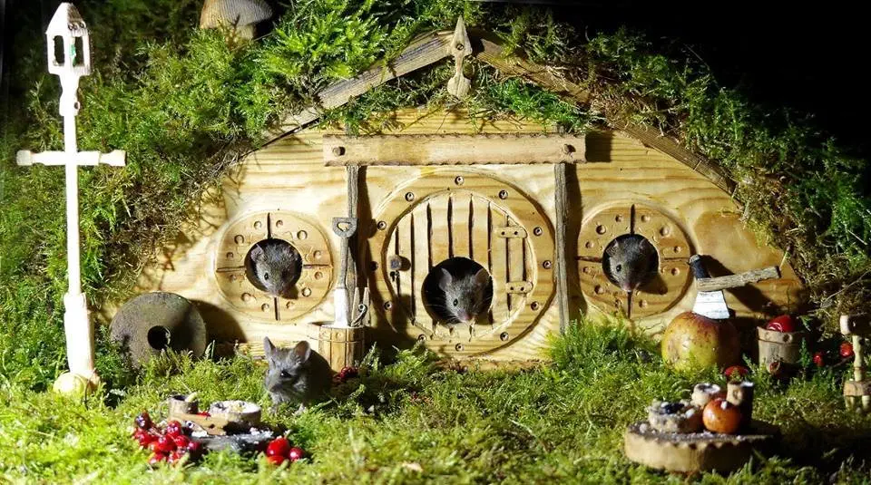 Image credit: Facebook | George the Mouse in a log pile house